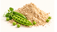 Pea protein isolate